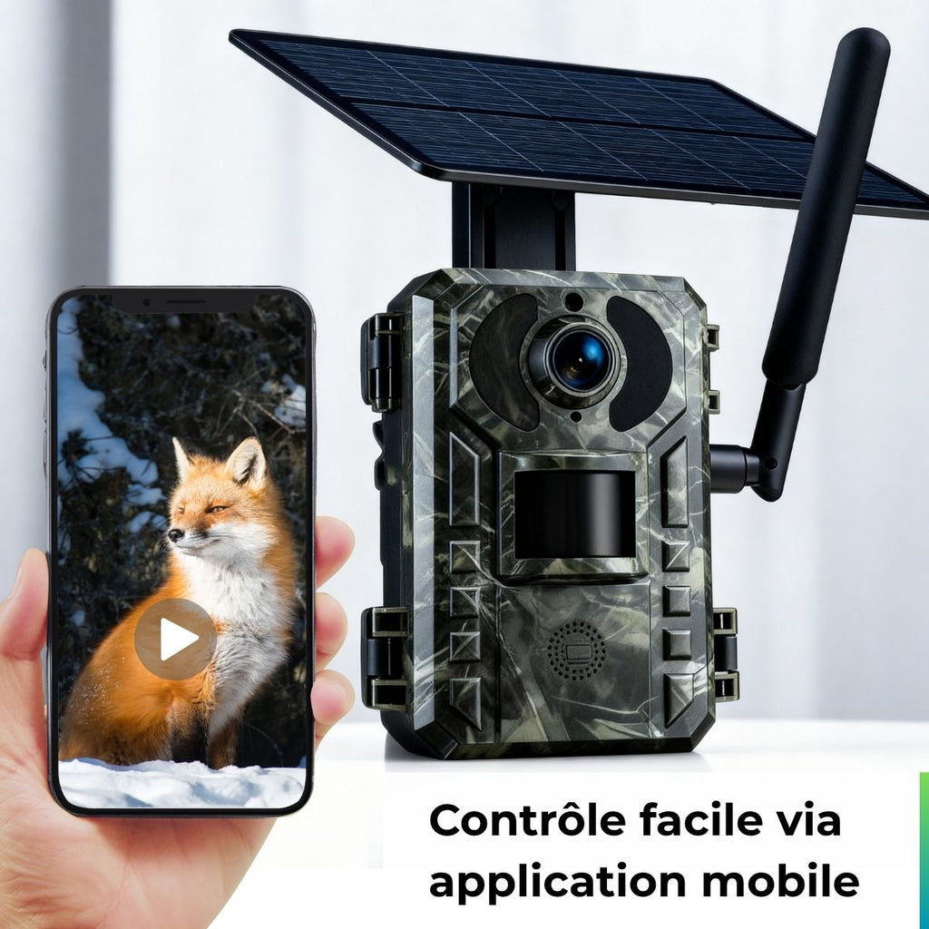 Caméra de chasse Solaire 4G+