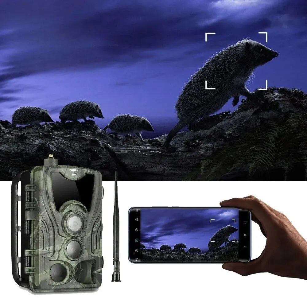 Caméra de chasse 4G+ 4K avec écran