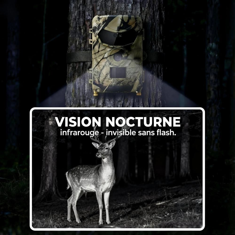 Caméra de chasse Vision Nocturne