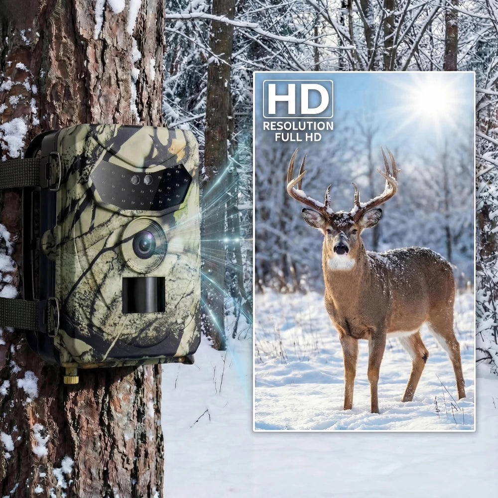 Caméra de chasse Vision Nocturne